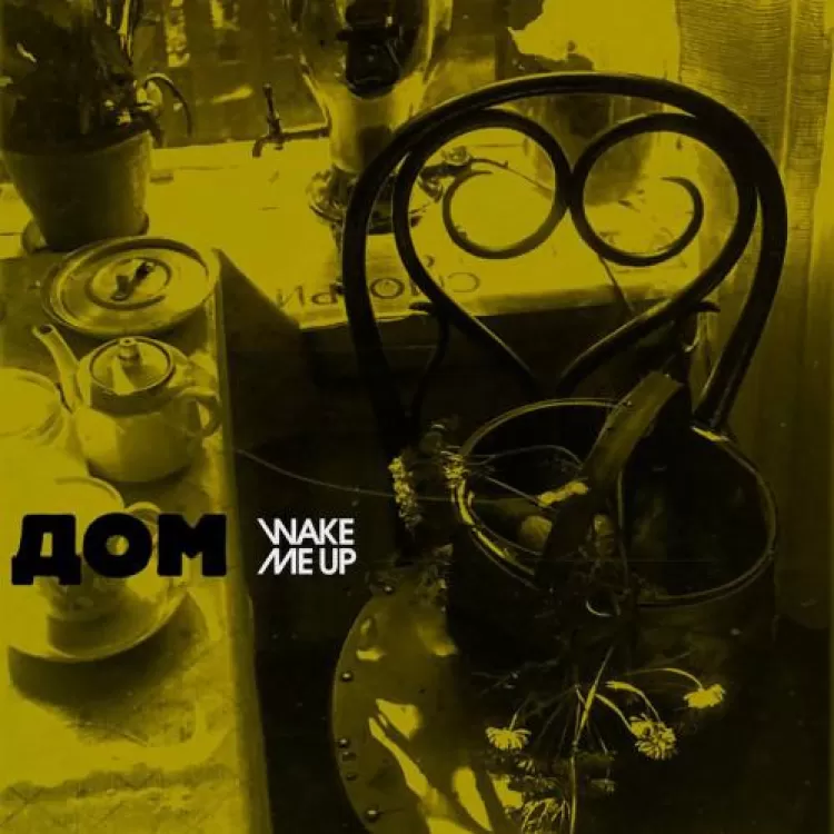 Wake me up - Дом, обложка альбома